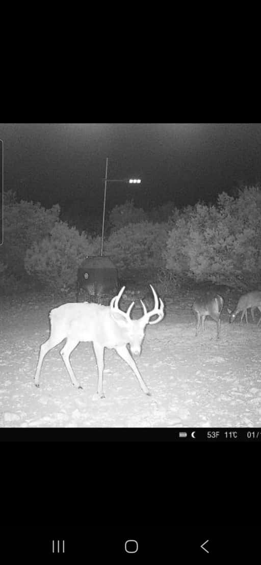 2025–26 season ranch photo 71