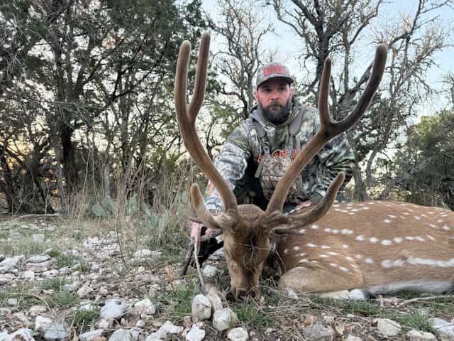 Hunter holding an Axis buck's antlers beneath trees