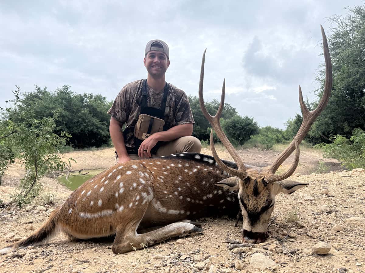 Axis hunter with a mature buck at FF Hunting Ranch in 2026