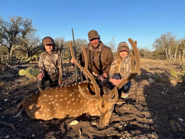 Three hunters with an Axis buck in evening sunlight