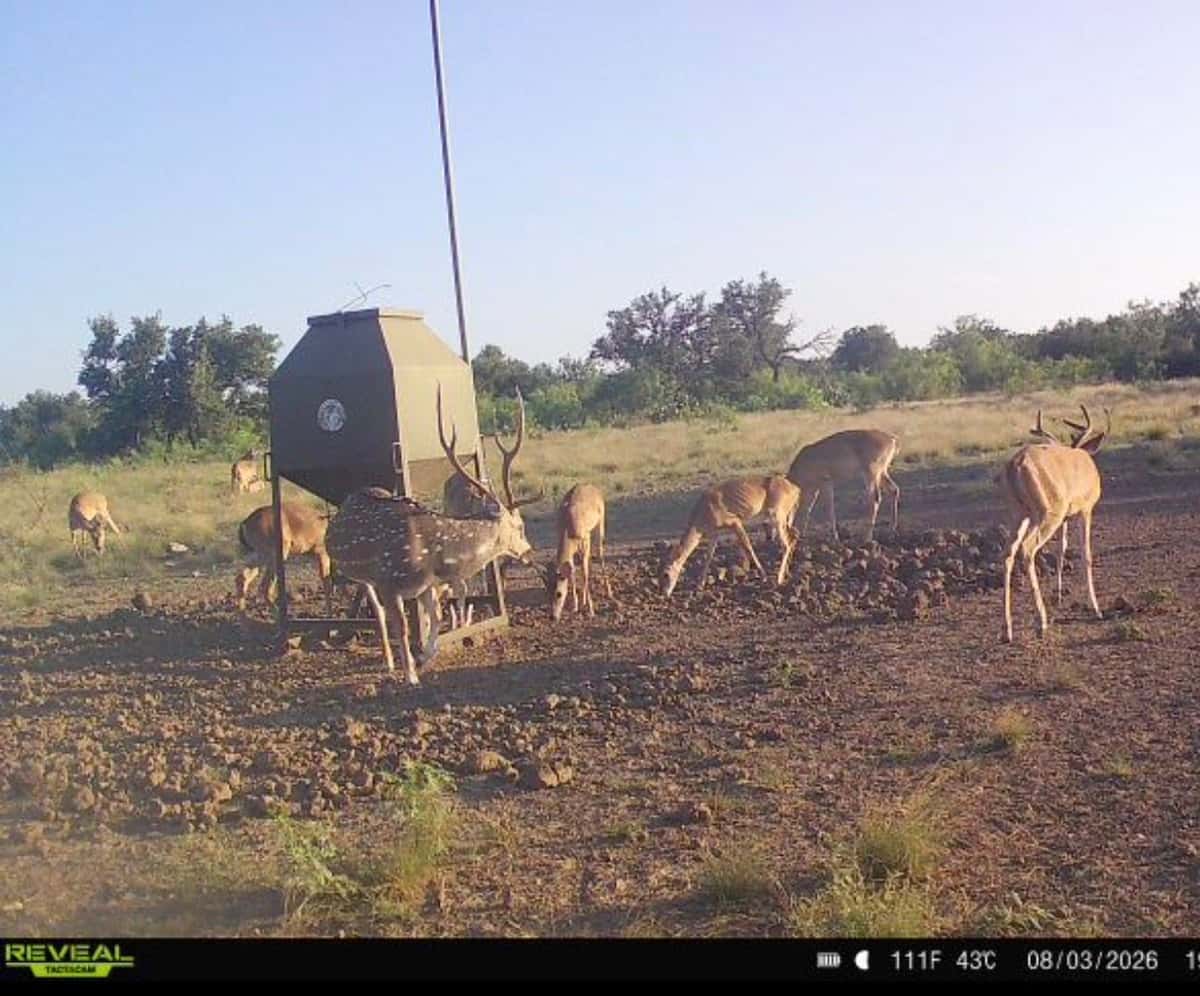 August 2026 additions ranch photo 9