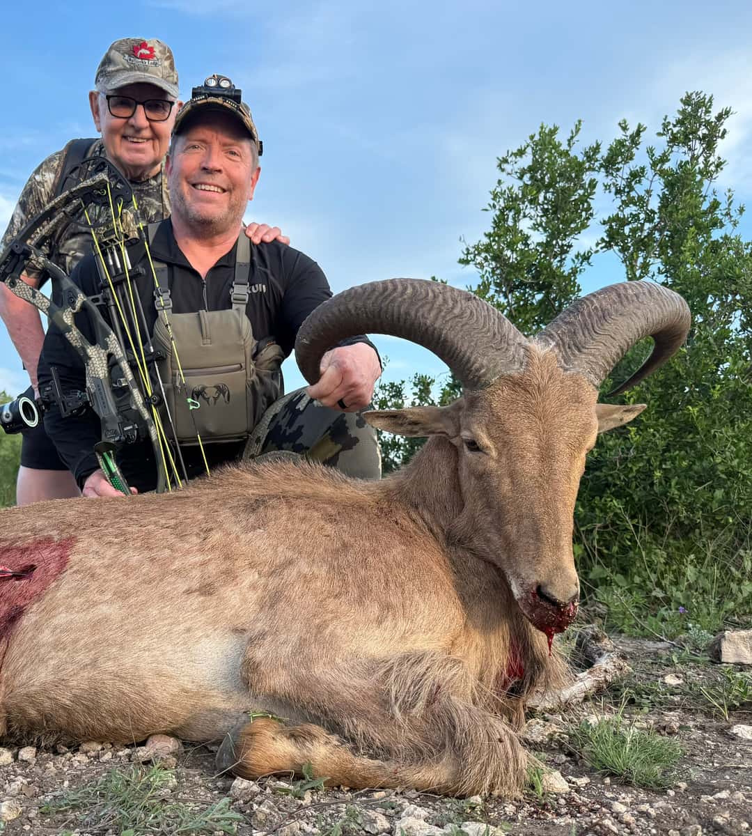 Two hunters posing with a harvested aoudad