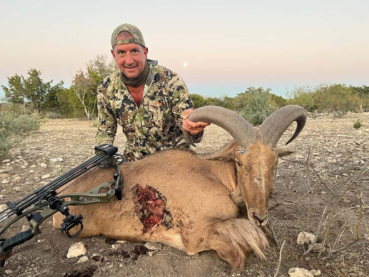 Bow hunter with a harvested aoudad in a clearing