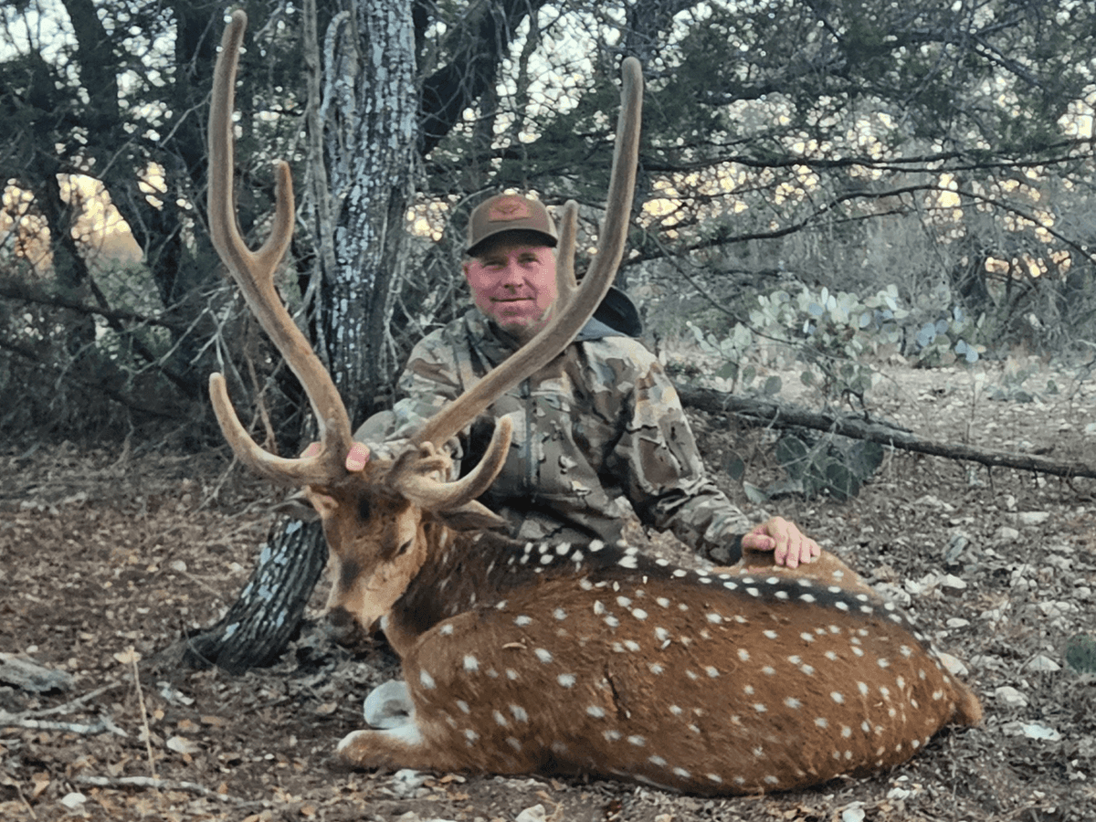 Hunter with an Axis buck beneath a large tree