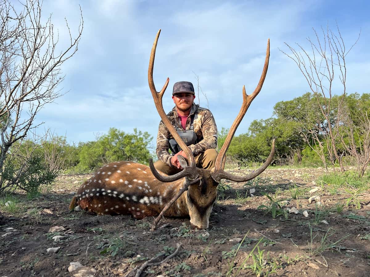 Hunter holding an Axis buck's antlers in a clearing