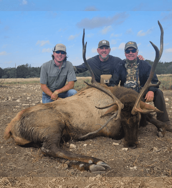 Three hunters with a bull elk in an open clearing