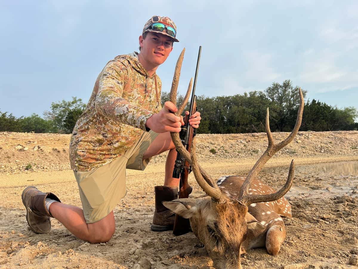 Hunter kneeling with an Axis buck in sunlight