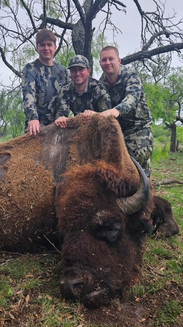 Three hunters posing behind a harvested bison