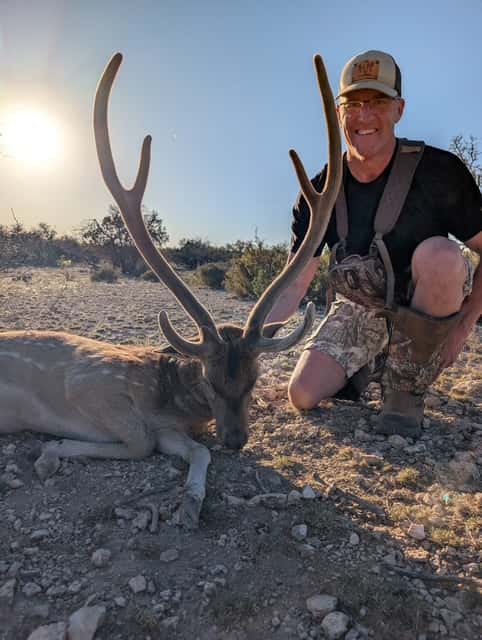 Hunter with an Axis buck in a backlit clearing