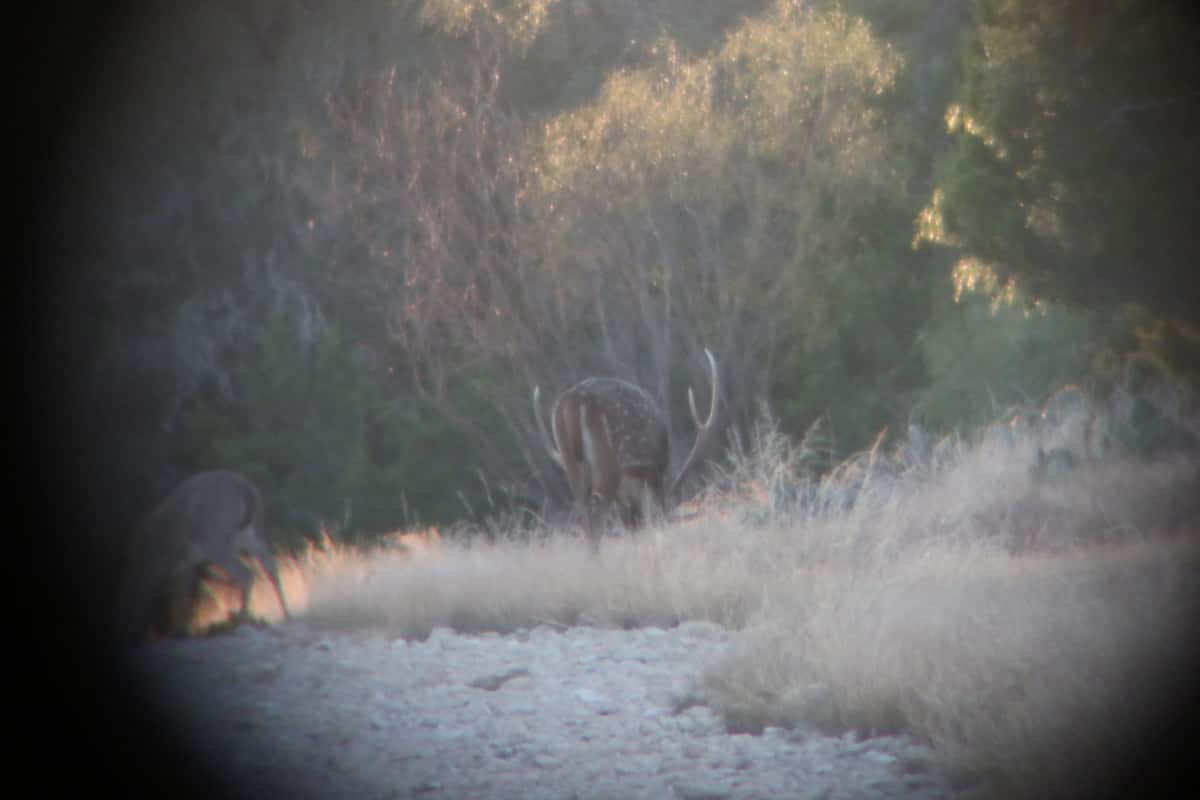 2025–26 season ranch photo 8