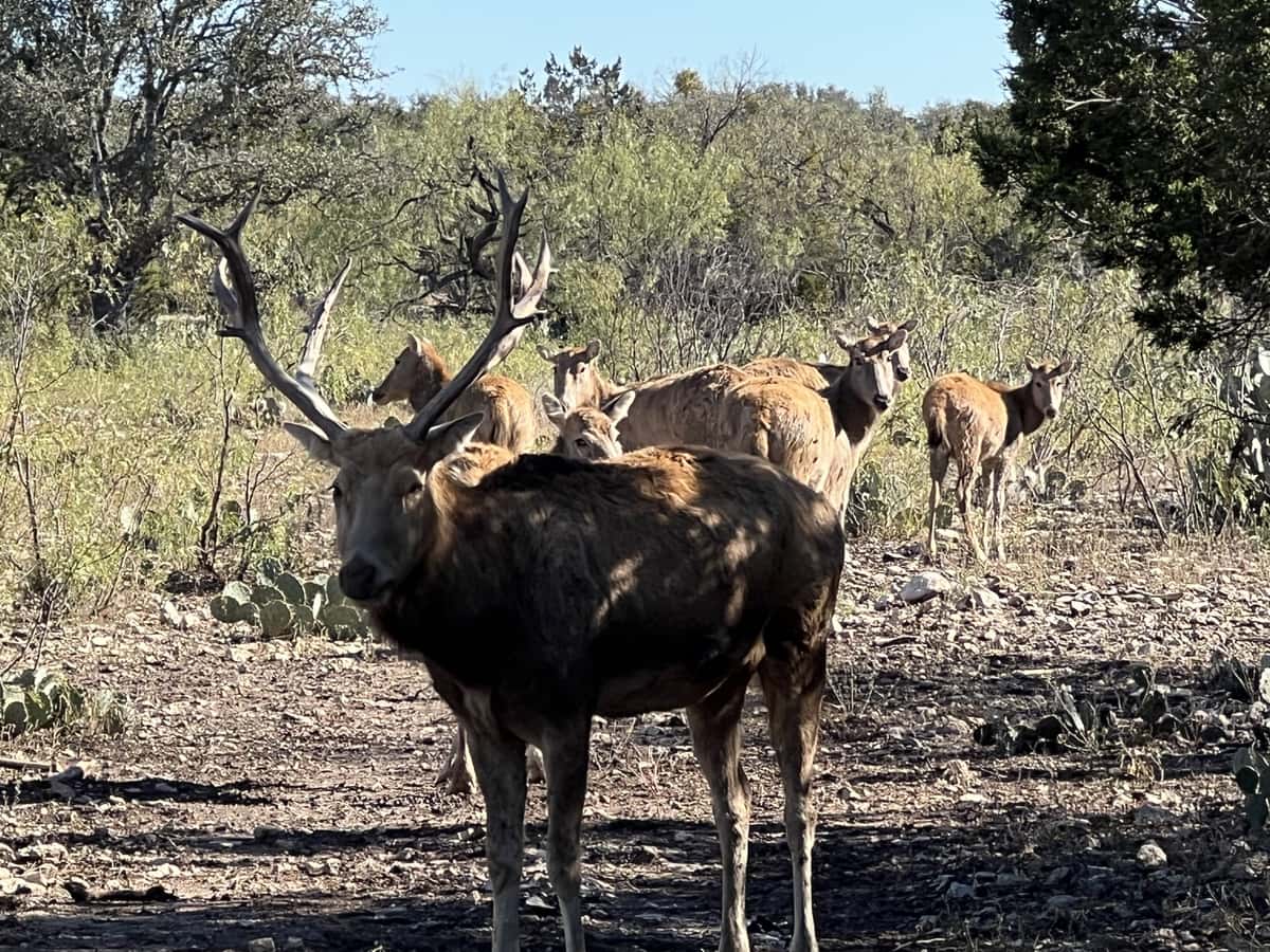 2024–25 season ranch photo 44