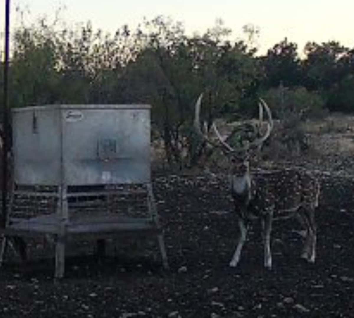 2025–26 season ranch photo 117