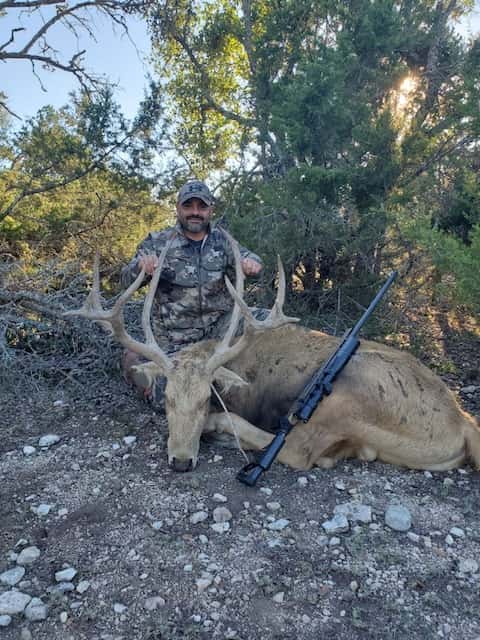 Hunter with an antlered deer and rifle beneath trees