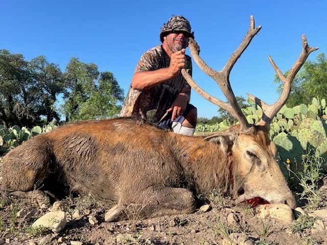 Hunter with a large antlered deer beneath a blue sky