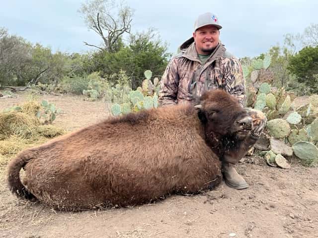 Hunter with a harvested bison beside cactus