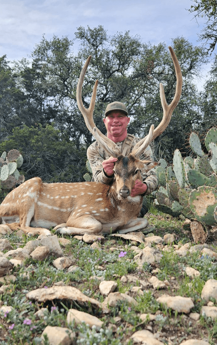 Hunter holding an Axis buck's antlers beside cactus
