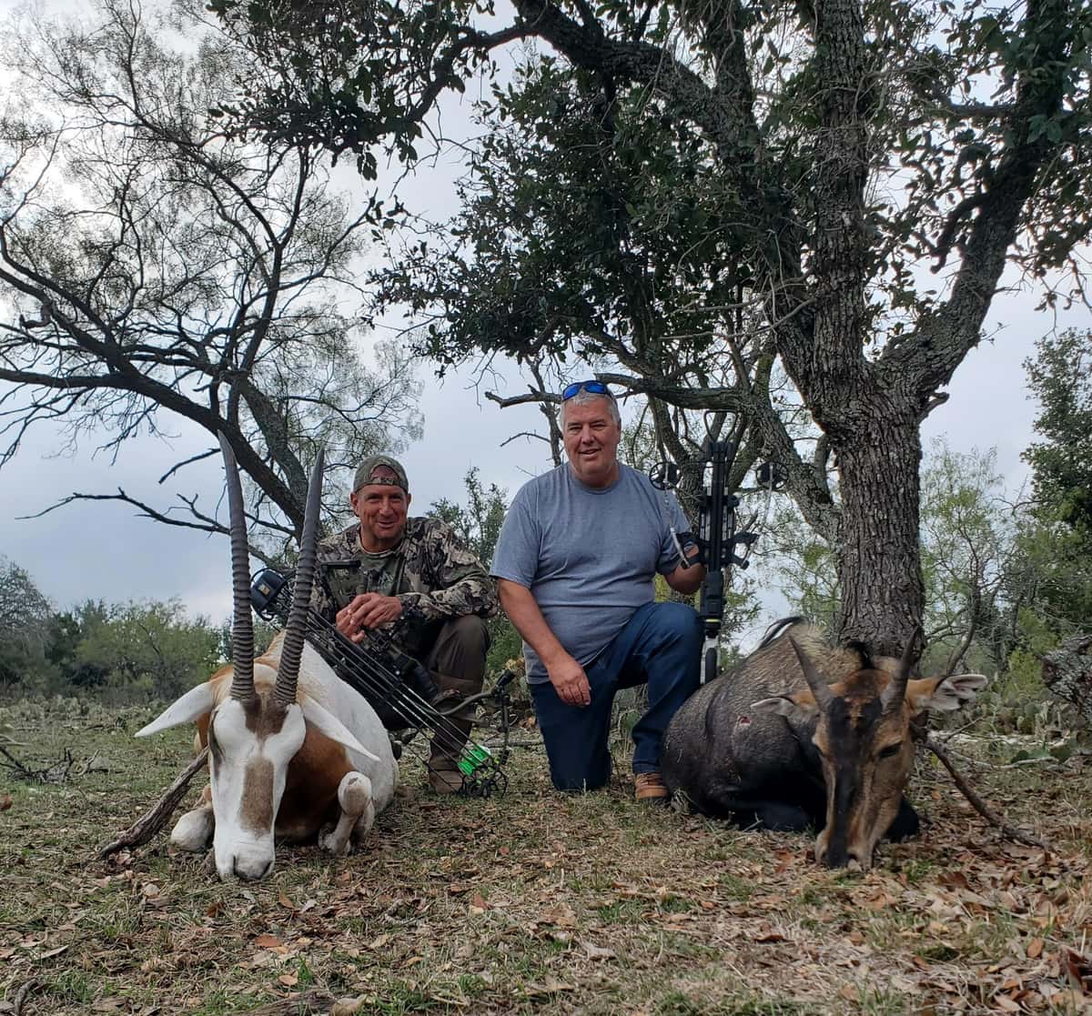 Two hunters with harvested animals beneath a large tree