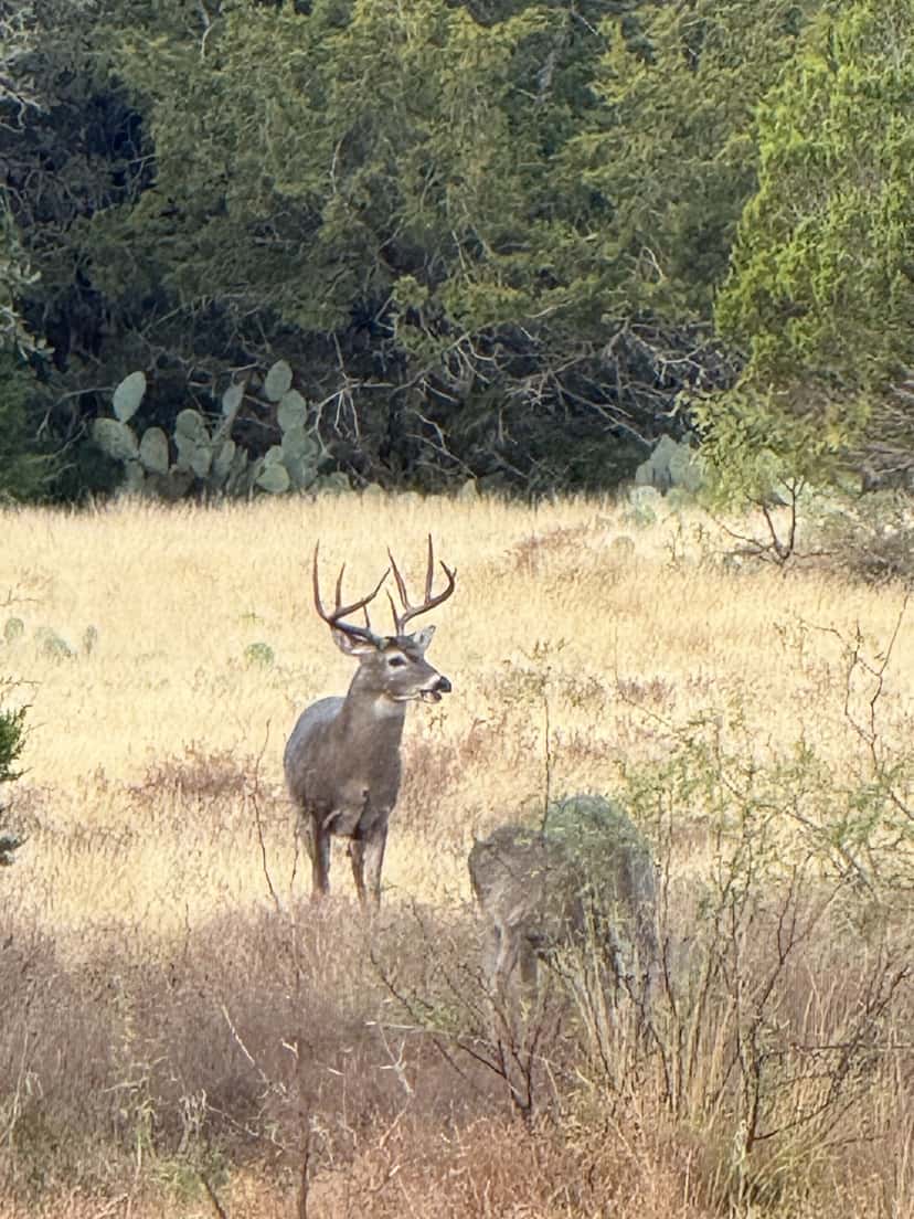 2025–26 season ranch photo 126