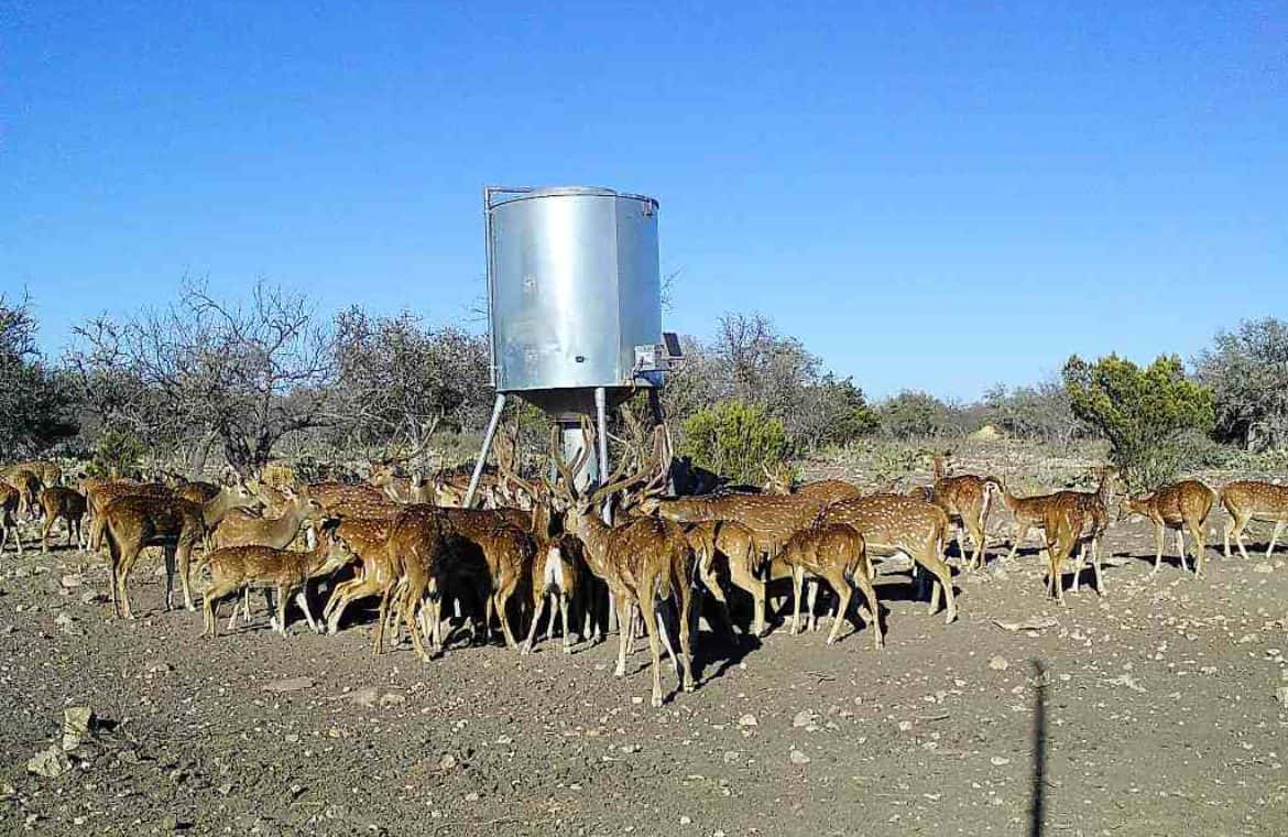 2024–25 season ranch photo 8