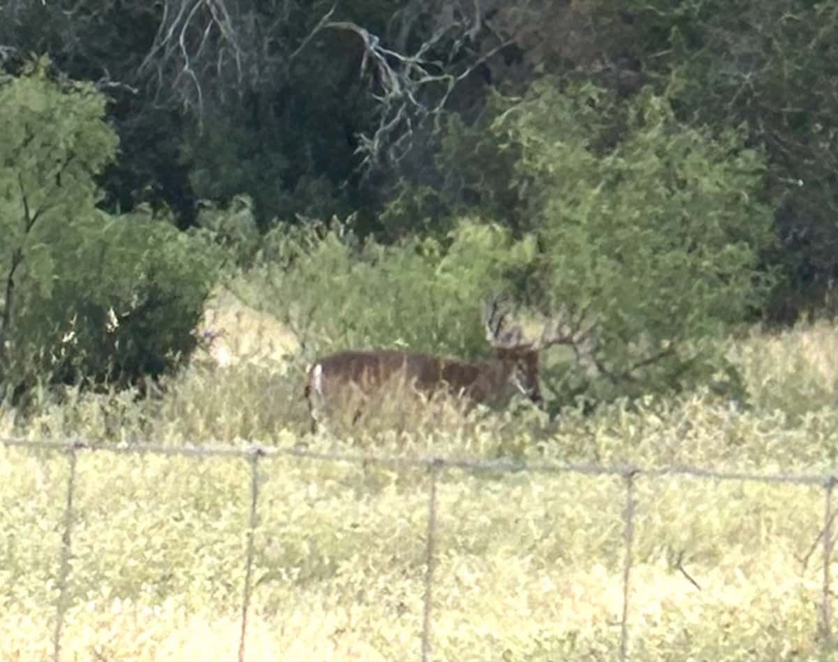 2025–26 season ranch photo 85