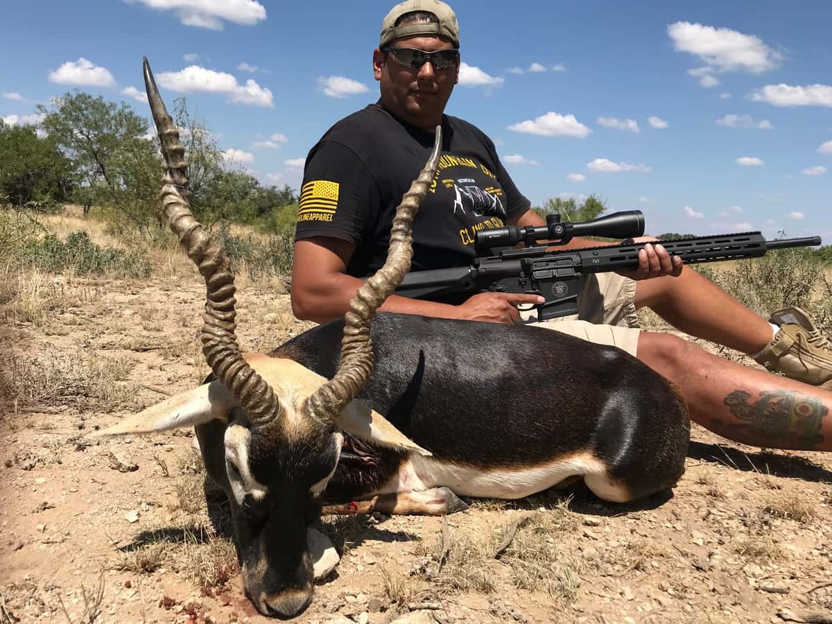 Trophy Blackbuck Antelope