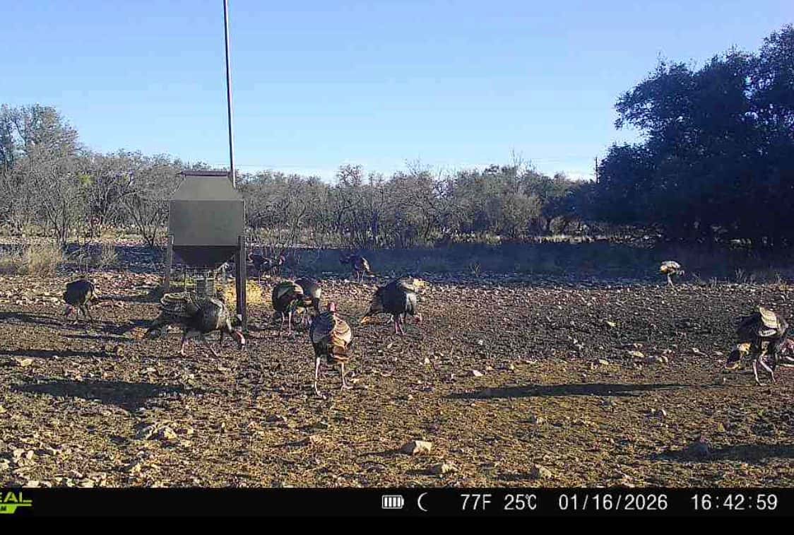 2025–26 season ranch photo 88