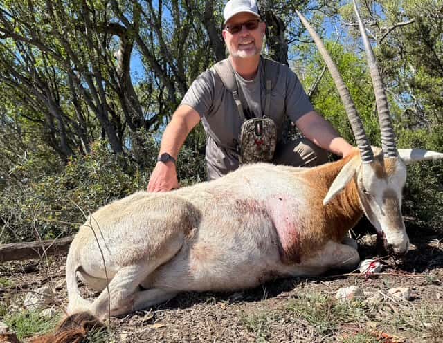 Hunter with a white oryx beside brush