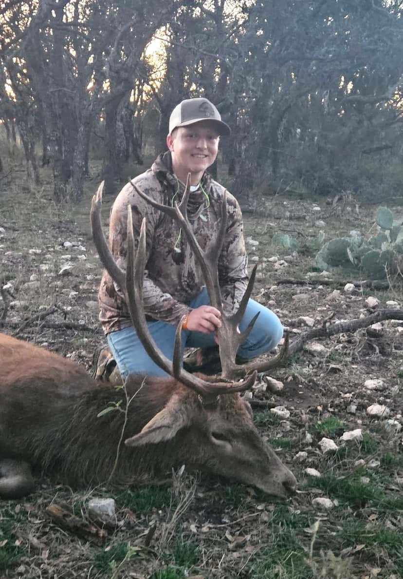 Hunter with an antlered deer beneath trees