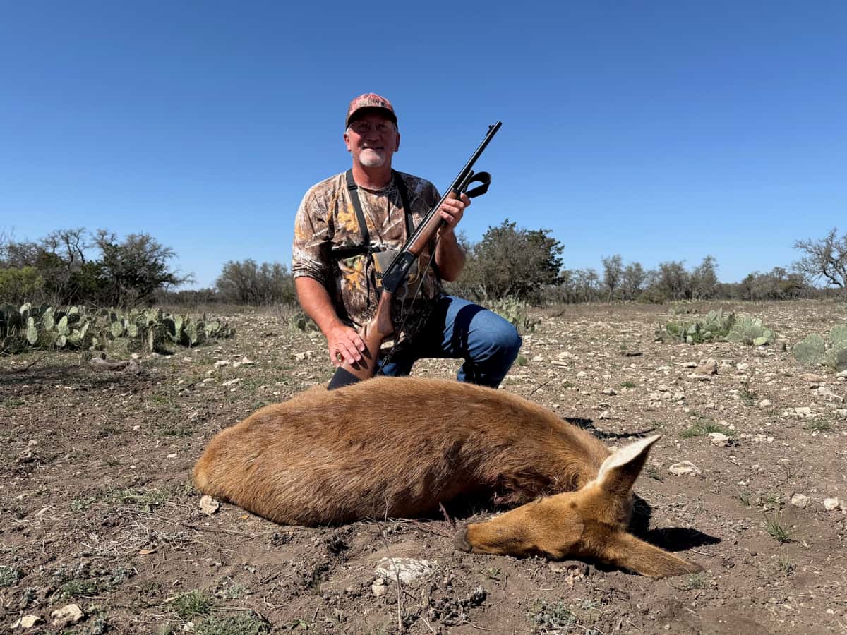 Hunter with a rifle and harvested hog on rocky ground