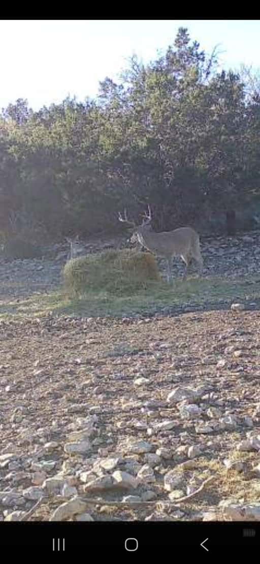 2025–26 season ranch photo 124