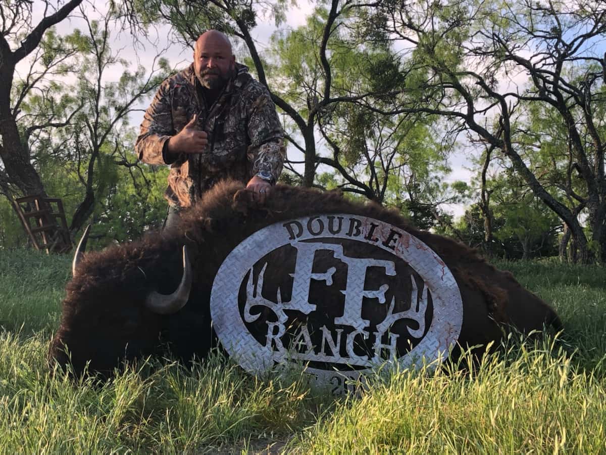 Hunter with a mature bison