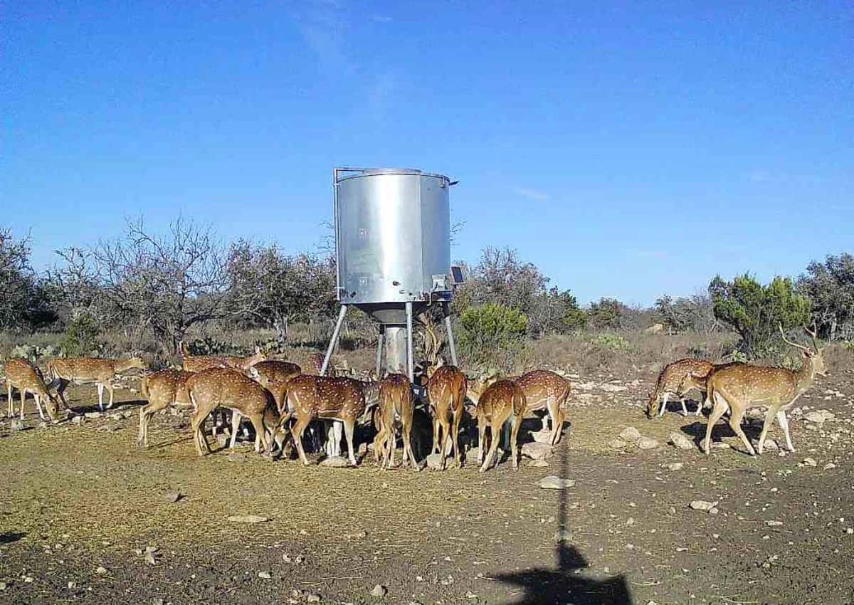 2025–26 season ranch photo 6