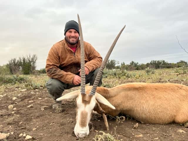 Hunter with an oryx on rocky ground