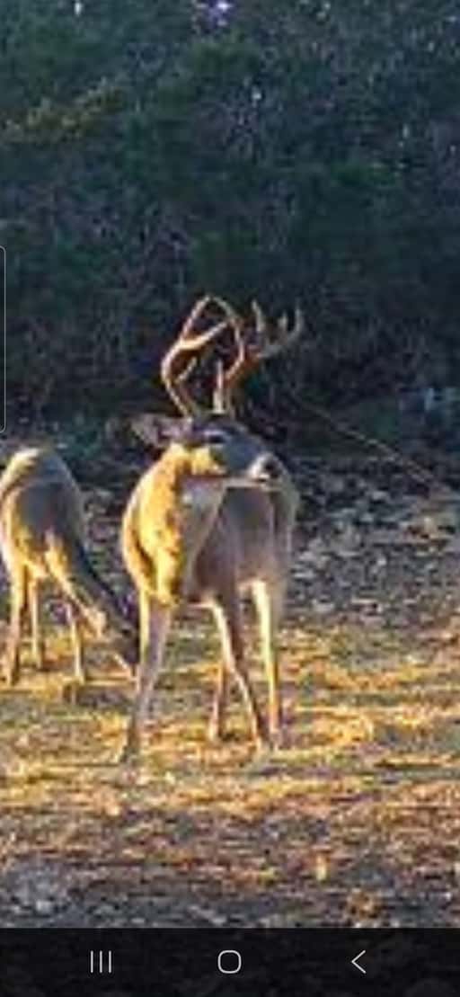 2025–26 season ranch photo 59
