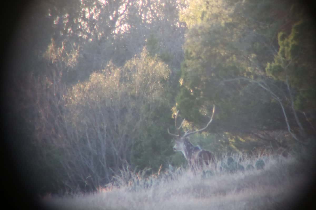 2025–26 season ranch photo 31