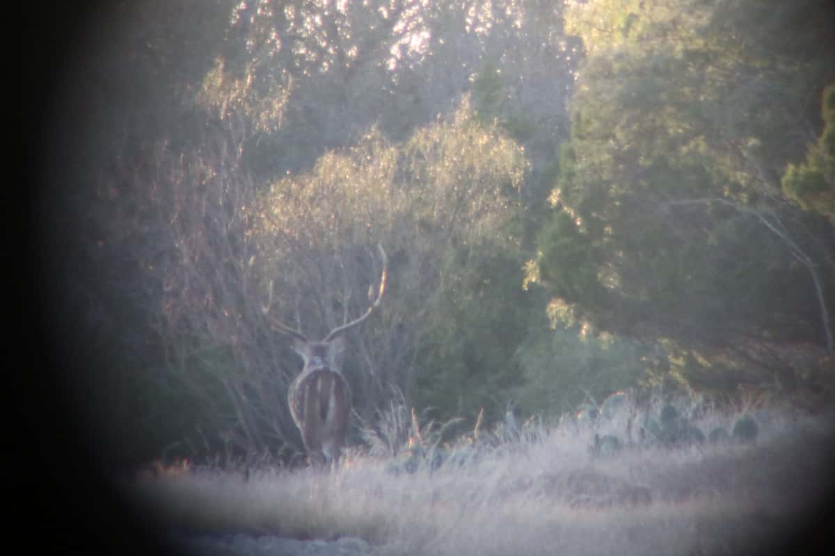 2025–26 season ranch photo 52