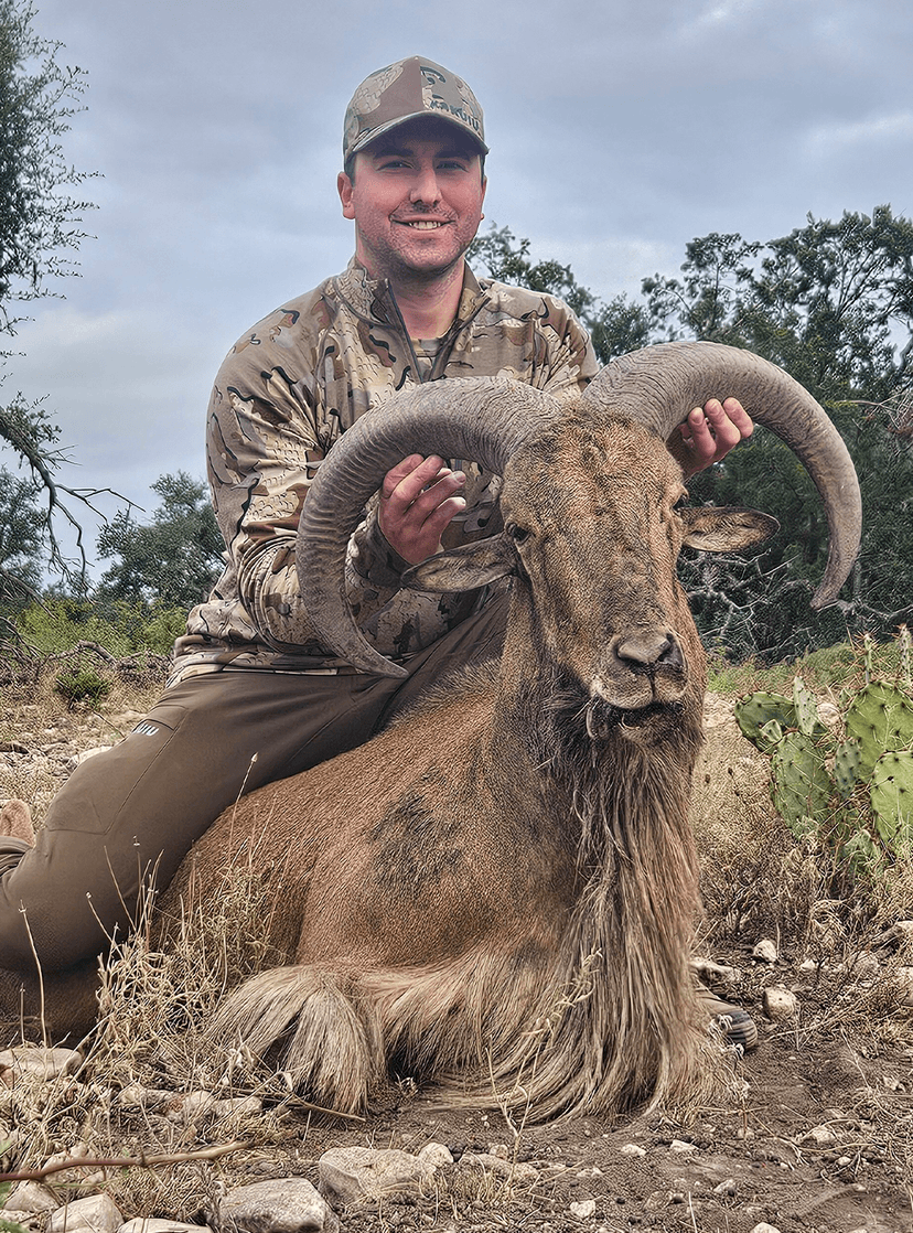 Hunter holding an aoudad's curved horns