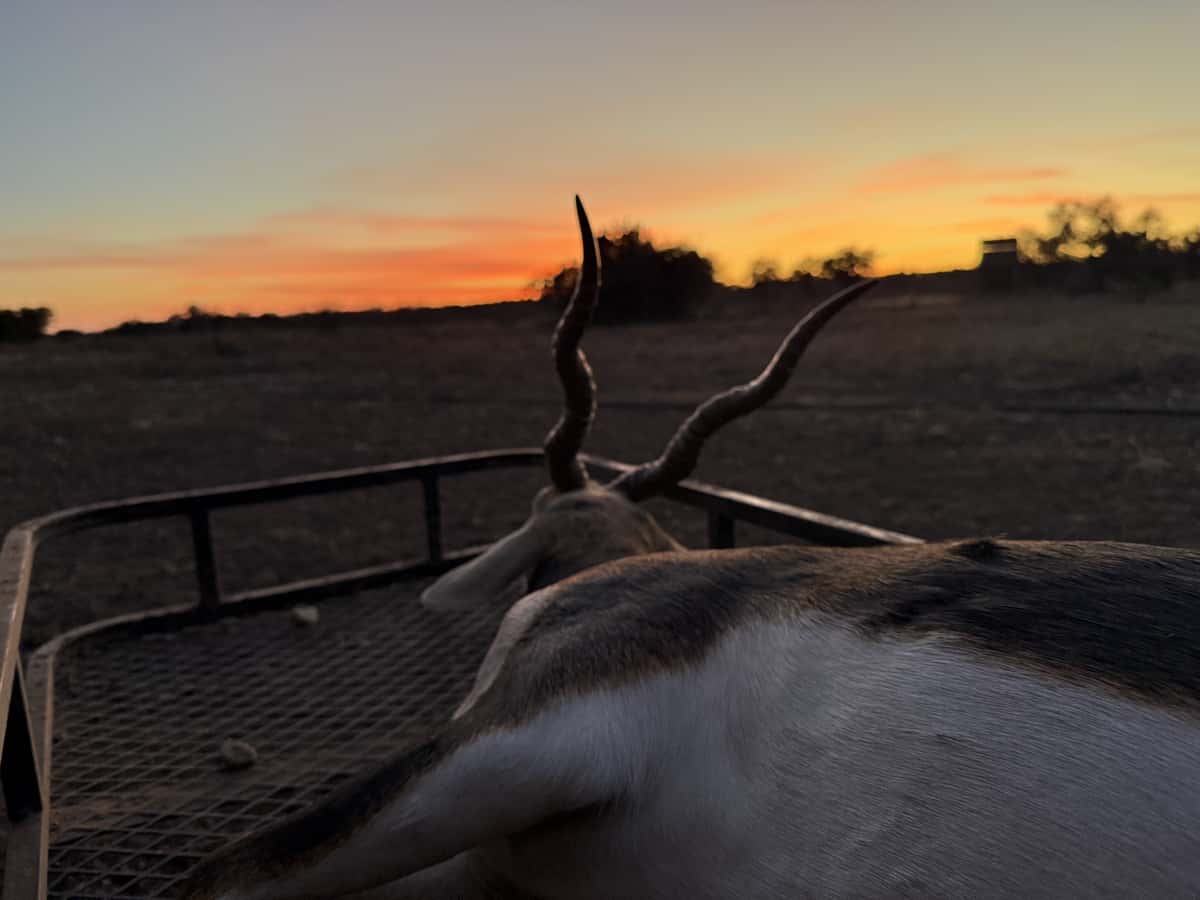 2025–26 season ranch photo 109