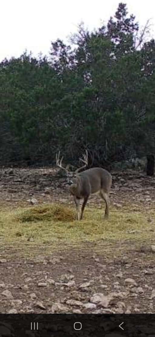2025–26 season ranch photo 105