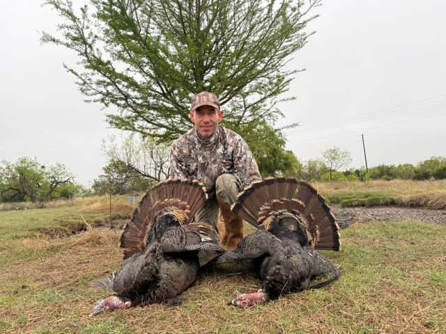 Hunter displaying two turkeys beneath a tree