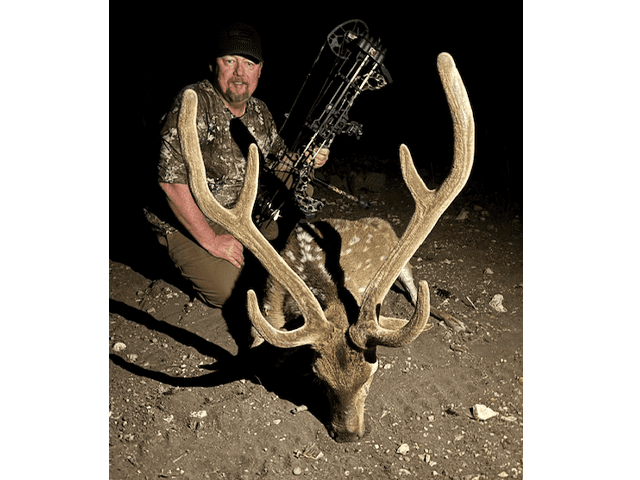 Bow hunter with an Axis buck at night