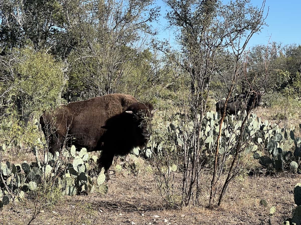 2024–25 season ranch photo 59