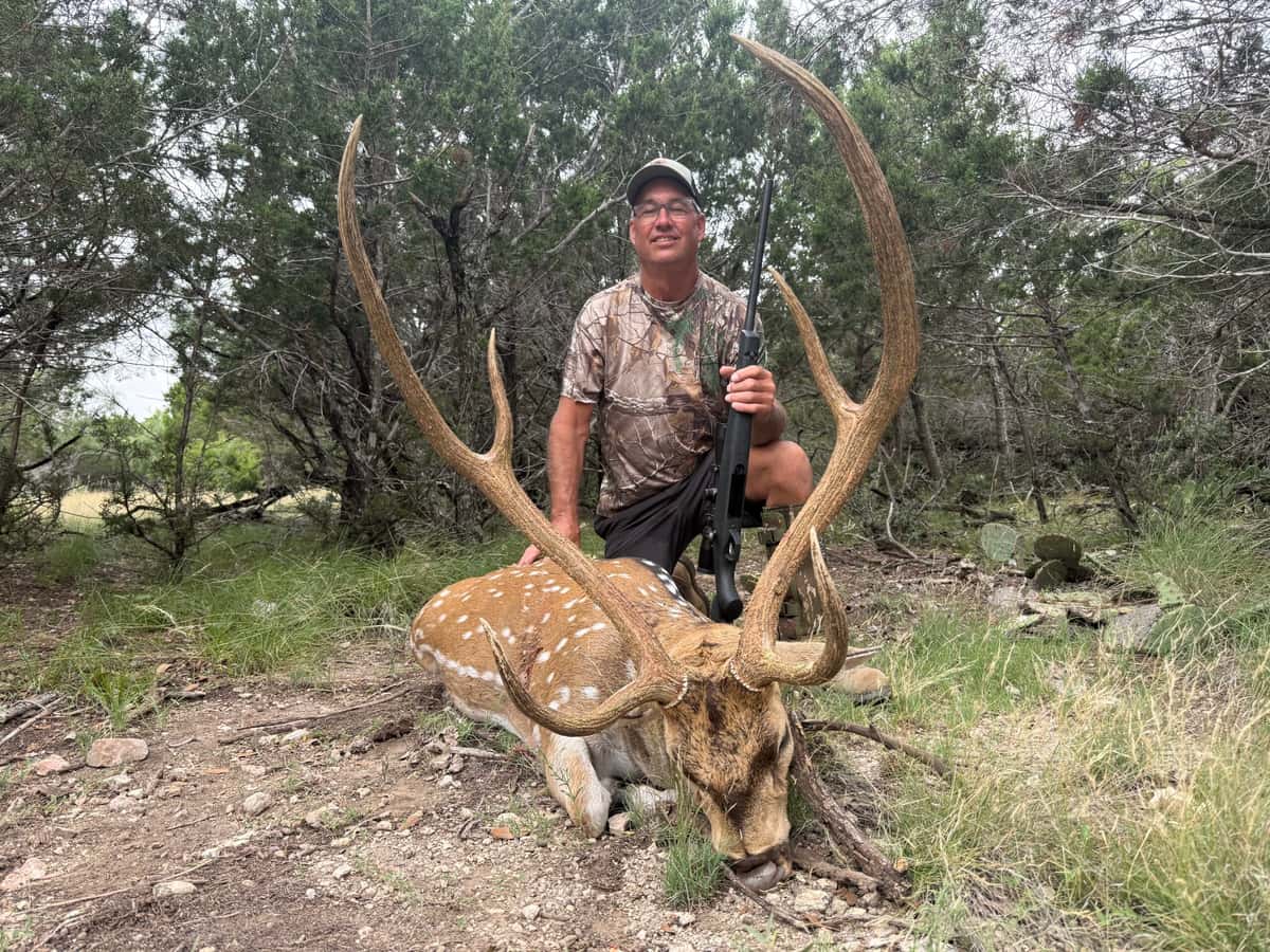 Hunter holding an Axis buck's antlers beside trees
