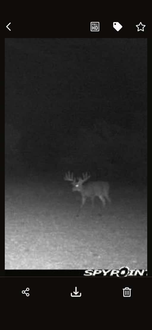 2025–26 season ranch photo 131