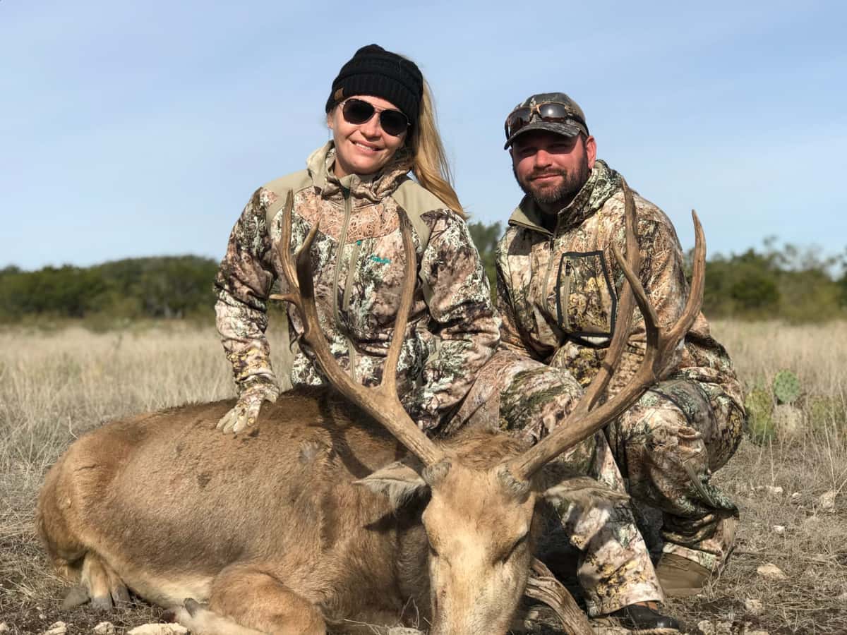 Mature Pere David's Deer buck