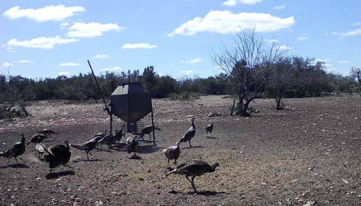 2024–25 season ranch photo 63
