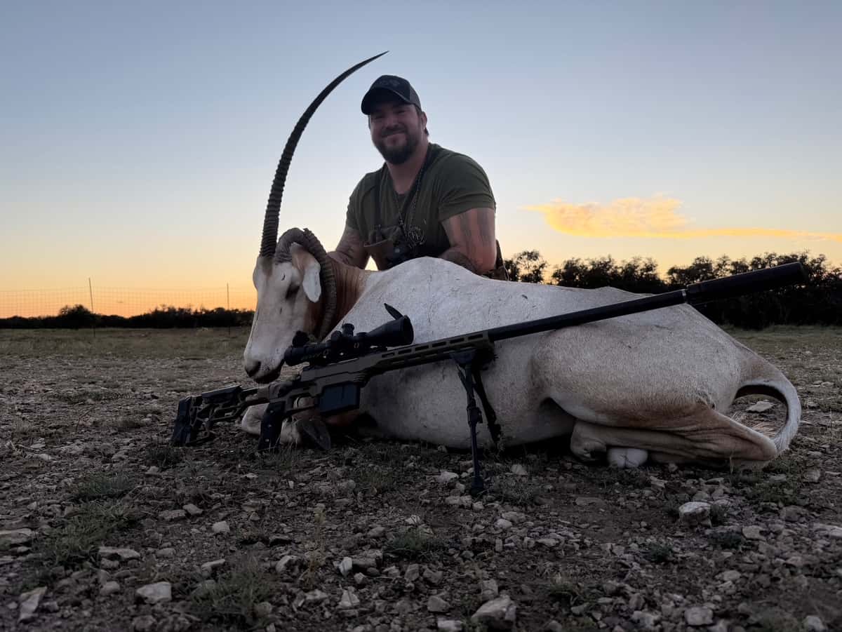 Hunter with an oryx at sunset