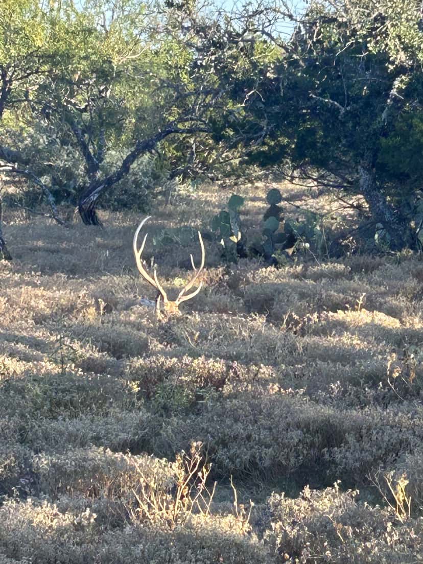2025–26 season ranch photo 128