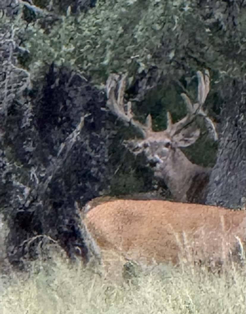 2025–26 season ranch photo 125