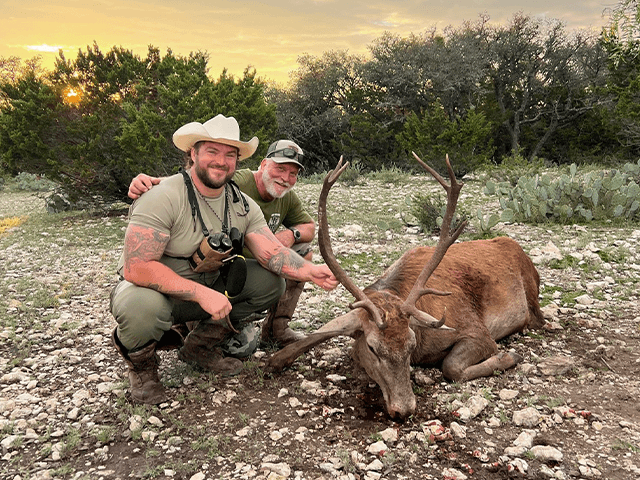 Two hunters with a red stag in evening sunlight